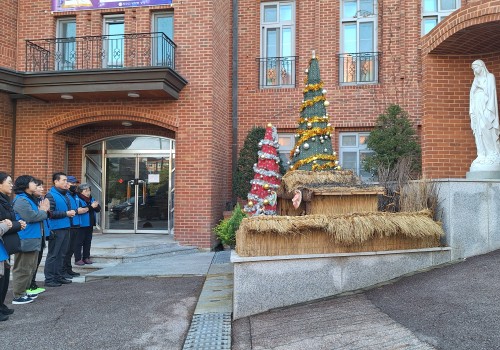 빈첸시오 2025.12월 활동