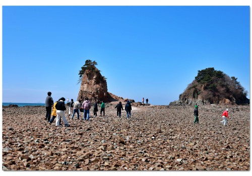 직원, 사목위원,여성총구역임원 부활 엠마오26.04.08
