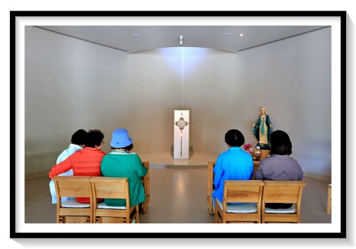 연령회 수리치골성지 순례26.05.15