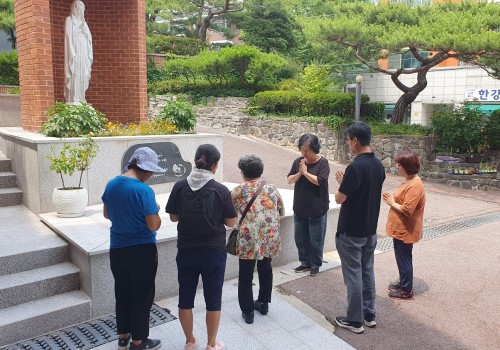 빈첸시오 6월 활동