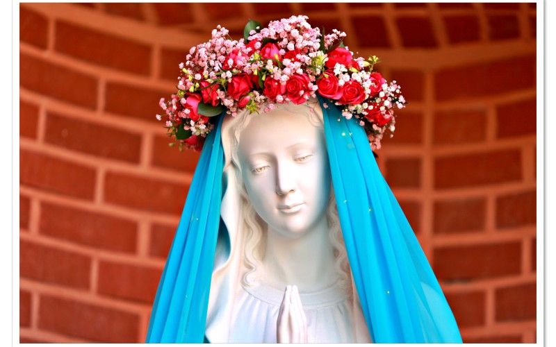 Image 279